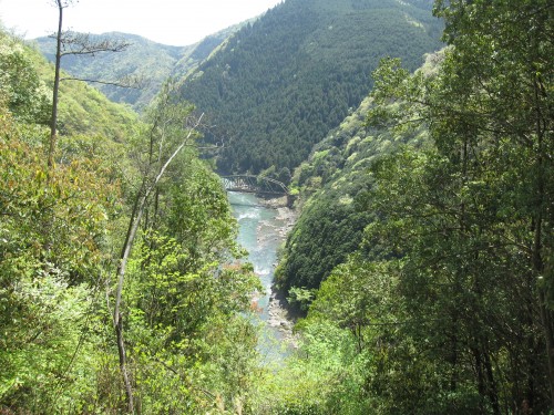 保津川上流