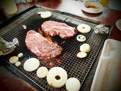 BBQ16