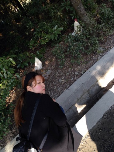photo5