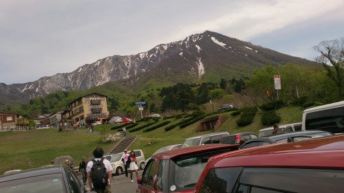DSC_0317 (1)
